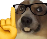 nerddog