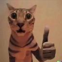 CATOK