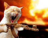 catfire