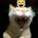 CATLAUGH CATLAUGH