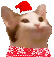 xmaspopcat