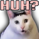 huhcat