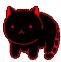 rainbowcat