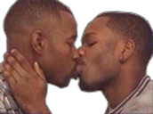gayniggas