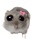 mouse mouse