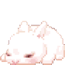 whitebunny