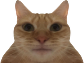 catto