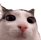 blinkblink