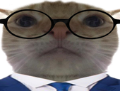 catglasses