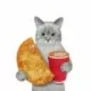 catfries