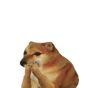 doge5